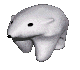 bearCLR.gif (20715 bytes)